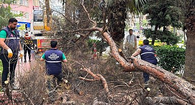 Efeler Belediyesi parkları güvenli hale getiriyor