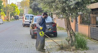 Efeler Belediyesi'nden bahar temizliği