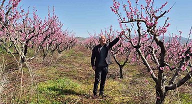 Elazığ'da meyve bahçelerinde entegre mücadele çalışması