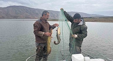 Elazığ'da su ürünleri araştırma çalışmaları sürüyor