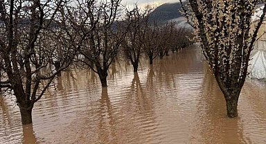 Elmalı'da dereler taştı, tarım alanları sular altında kaldı
