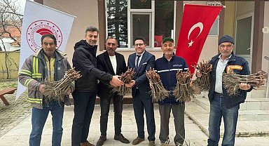 Emet'te 35 üreticiye 980 adet üzüm fidanı dağıtıldı