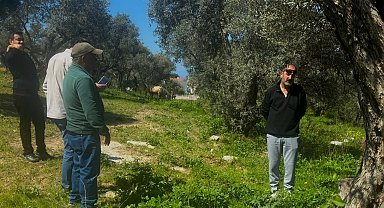 Endemik Tülüşah için inceleme yaptılar