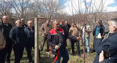 Erzincan'da çiftçilere budama eğitimi verildi