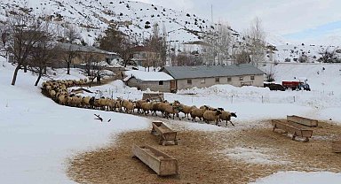 Erzincan'da küçükbaş hayvancılığa destek projesi için başvurular başladı