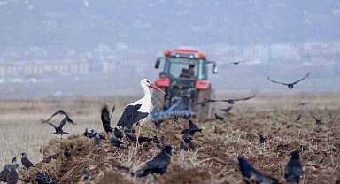 Erzincan'da zirai don uyarısı