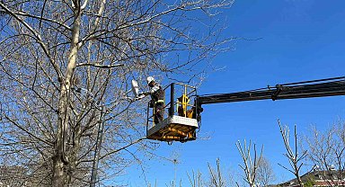 Esenyurt Belediyesi'nden yeşil alanlara bahar dokunuşu