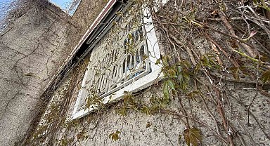 Eskişehir'de 'Sarmaşıklı Camii'nin dış cephesi yeşermeye başladı