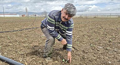 Eskişehir'de yılın ilk tohum ve fideleri toprakla buluştu