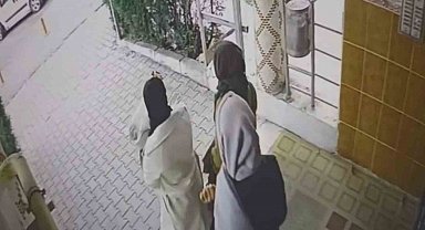 Ev fareleri kameraya yakalandı