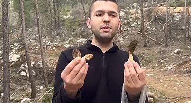 Feke'de kuzu göbeği bereketi