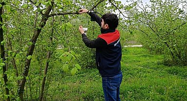 Fındık bahçelerinde takip başladı
