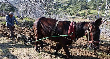 Gençler köyü terk edince iş yaşlılara kaldı