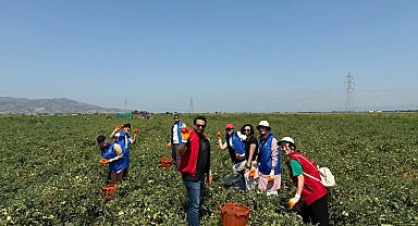 Gönüllü Hasat Etkinliği 2026 yılı takvimi açıklandı