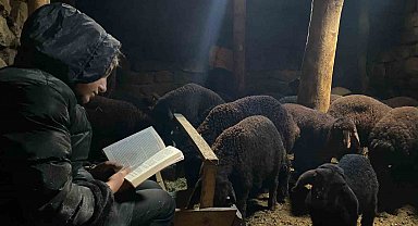 Gündüz hayvan bakıyor gece hayalleri için çalışıyor