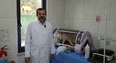 Gürsu Butik Hayvanat Bahçesi yeni sakinlerini ağırlıyor