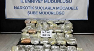 Hakkari'de 64,5 kilogram skunk ele geçirildi