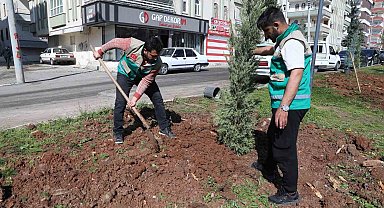 Haliliye'de yaz öncesi parklarda hummalı çalışma