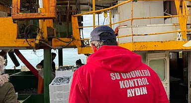 Hamsi kotası için Didim'de denetim yapıldı
