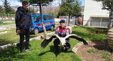 Hasta leylek koruma altına alındı