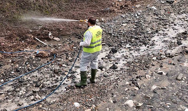 Hatay Büyükşehir Belediyesi haşereyle mücadele çalışmalarına devam ediyor