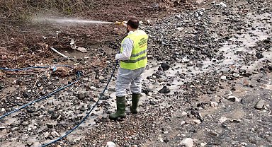 Hatay Büyükşehir Belediyesi haşereyle mücadele çalışmalarına devam ediyor