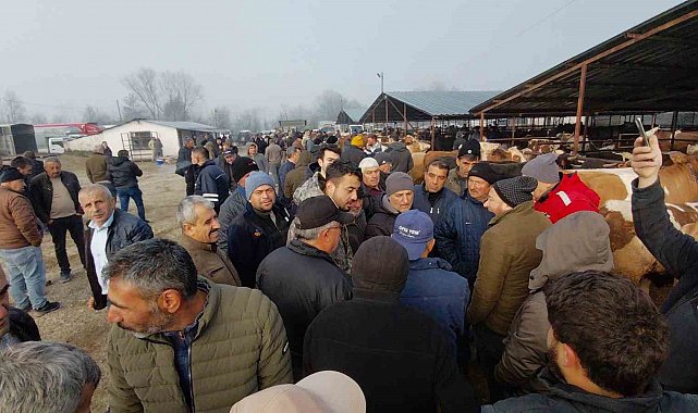 Hayvan pazarında hararetli pazarlık kamerada