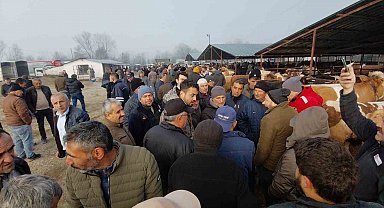 Hayvan pazarında hararetli pazarlık kamerada