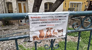 Hayvanseverlerin ilginç yazısı: "Kediler himayemiz altındadır"