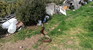 Hepsi zabıta ekiplerinin baskınında ortaya çıktı