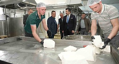 Her gün 3,5 ton sütten 12 çeşit peynir üretiyorlar