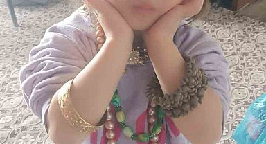 Hizan'da kayıp kız çocuğu için arama çalışması başlatıldı