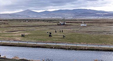 Hürmetçi'de sıcak asfalt, çevre temizliği ve yeşil alan atağı