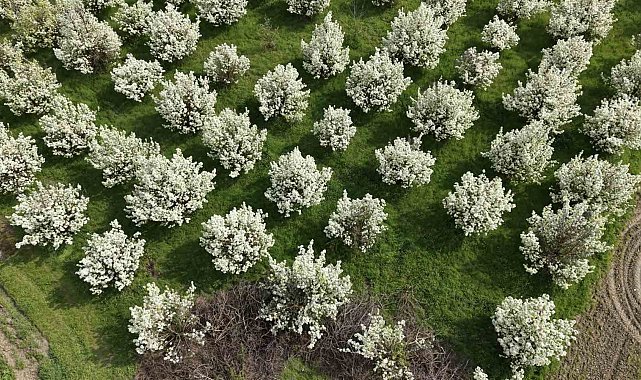 İnegöl'de kartpostallık görüntüler