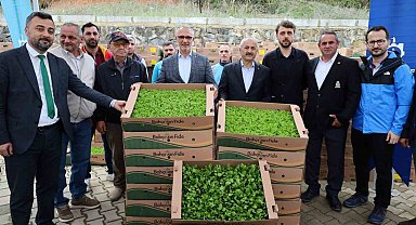 İşlenmeyen araziler üretime dönüyor: Çiftçilere yüzde 75 hibeli fide desteği