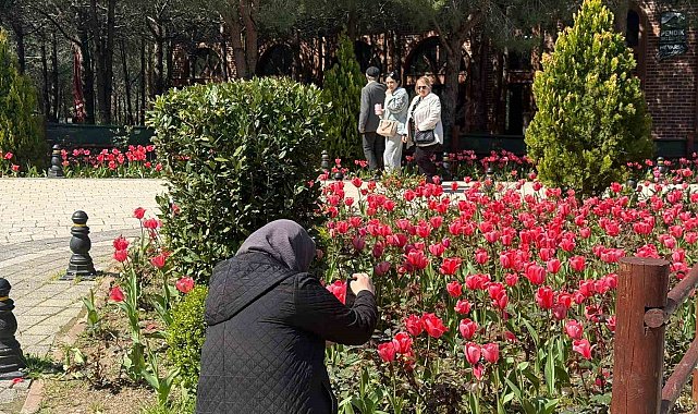 İstanbul'da lale zamanı başladı, Pendik Korusu'nda renk cümbüşü yaşandı
