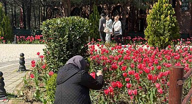İstanbul'da lale zamanı başladı, Pendik Korusu'nda renk cümbüşü yaşandı