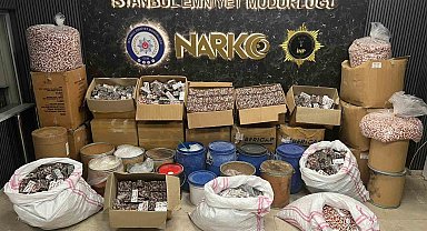 İstanbul'da uyuşturucu operasyonunda 2 gözaltı