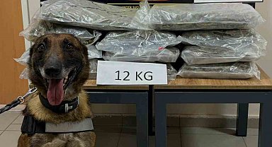 İstanbul'dan Ankara'ya uyuşturucu götürüyordu, Düzce'de yakalandı