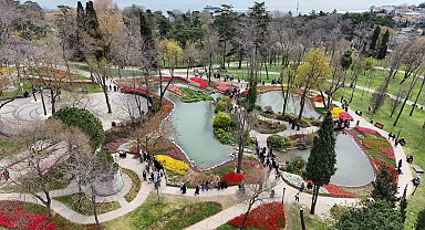 İstanbul'un simgesi laleler şehri yeniden renklendirdi