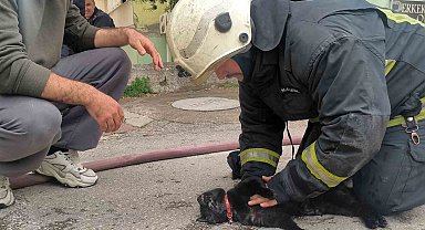 İtfaiye eri yangında dumandan etkilenen kediyi kalp masajı ile hayata döndürdü