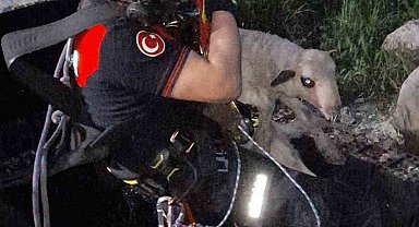 İzmir'de kuyuya düşen kuzuya itfaiyeden nefes kesen kurtarma