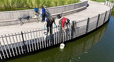 İzmit Millet Bahçesi göletinde bilimsel iyileştirme çalışması başladı