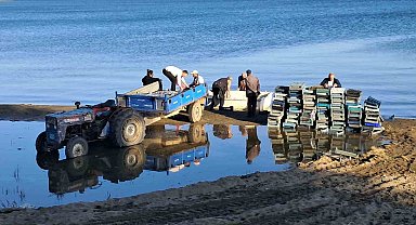 İznik Gölü'nde bereketli sezon...Gümüş balığında yüzler gülüyor