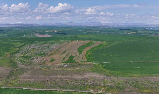 Jandarma eşliğinde ektiği 250 dönüm tarla iddiaya göre akrabaları tarafından ilaçlanarak kurutuldu