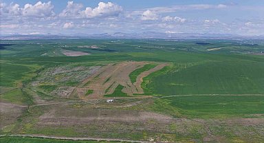 Jandarma eşliğinde ektiği 250 dönüm tarla iddiaya göre akrabaları tarafından ilaçlanarak kurutuldu