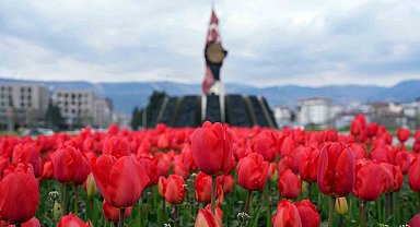 Kahramanmaraş'ta kavşaklarda görsel şölen