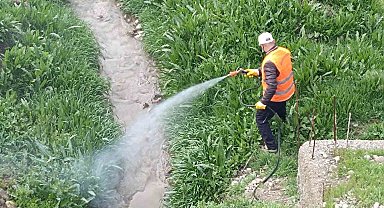 Kahta Belediyesi'nden haşerelere karşı yoğun mücadele