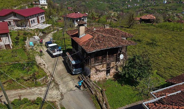 Kahverengi kokarcaya karşı kışlaklardan çıkış öncesi ilaçlama hız kazandı
