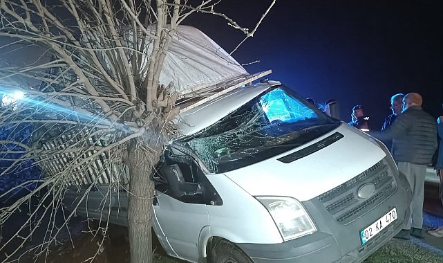 Kamyonet şarampolde ağaca çarptı: 1 yaralı